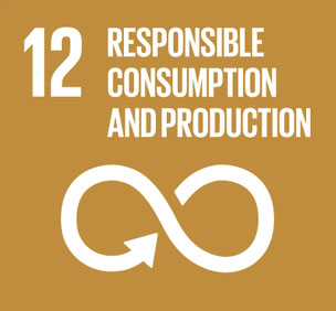 Responsible Consumption and Production - #12.jpg